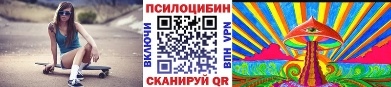 как найти наркотики  Сосновый Бор  Псилоцибиновые грибы GOLDEN TEACHER 